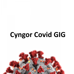 Cyngor GIG