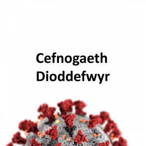Cefnogaeth dioddefwyr