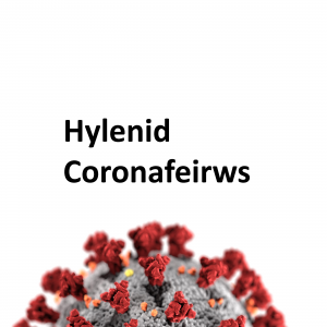 Hylenid coronafeirws