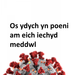 Iechyd Meddwl 