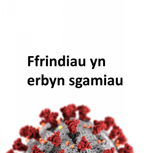 Ffrindiau yn erbyn sgamiau